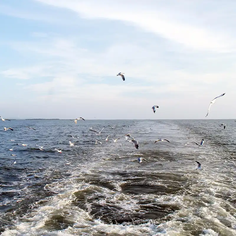 Cox’s Bazar Beach
