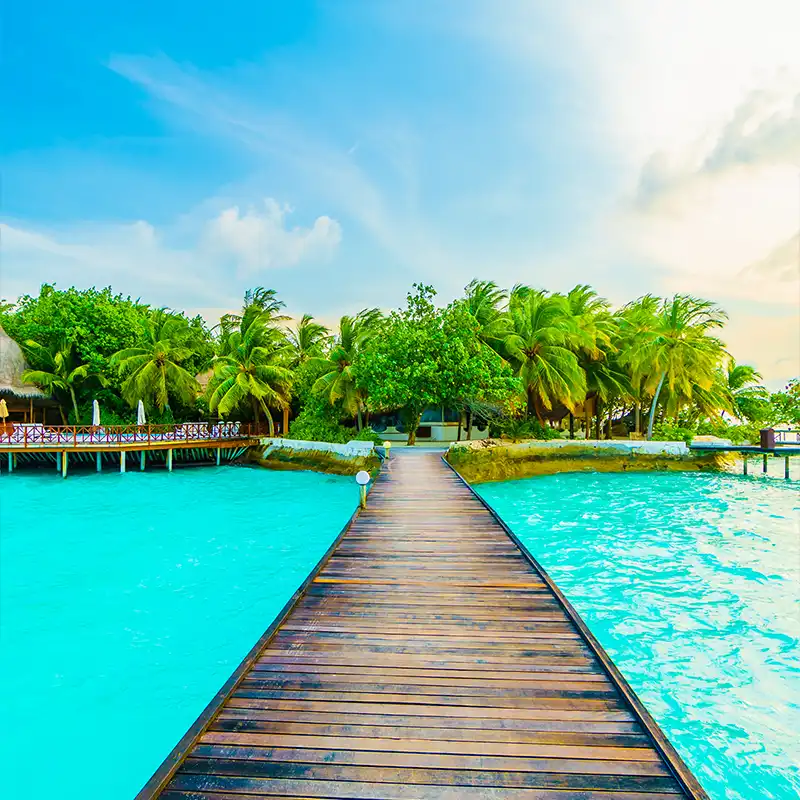 Maldives Beach Escape